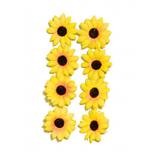 Gele zonnebloemen met een zwarte binnenkant
