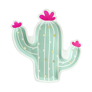 cactus bordje