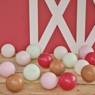 Mini ballonnen in de kleuren saliegroen, pastelroze, rood, bruin en beige liggen op een houten tafel voor een boerderij