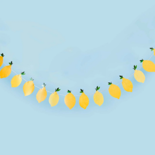 Slinger met gele citroentjes hangt voor een blauwe achtergrond