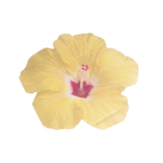 servet in de vorm van een gele bloem met een ro