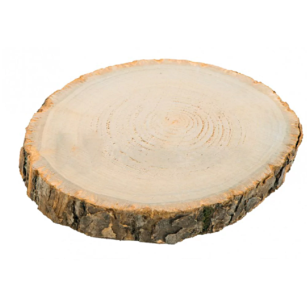 Boomstam Hout - Groot