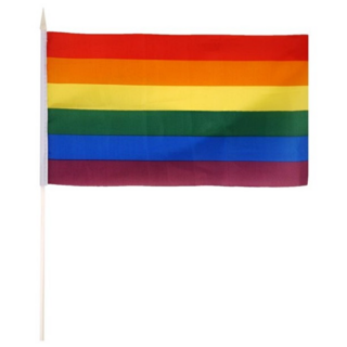 Regenboog vlag