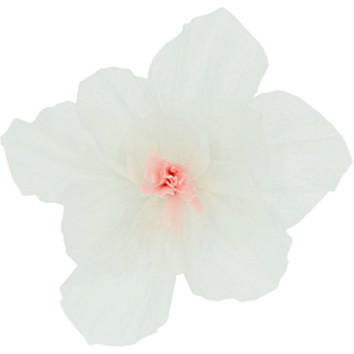 papieren witte bloem met een poederroze binnenkant
