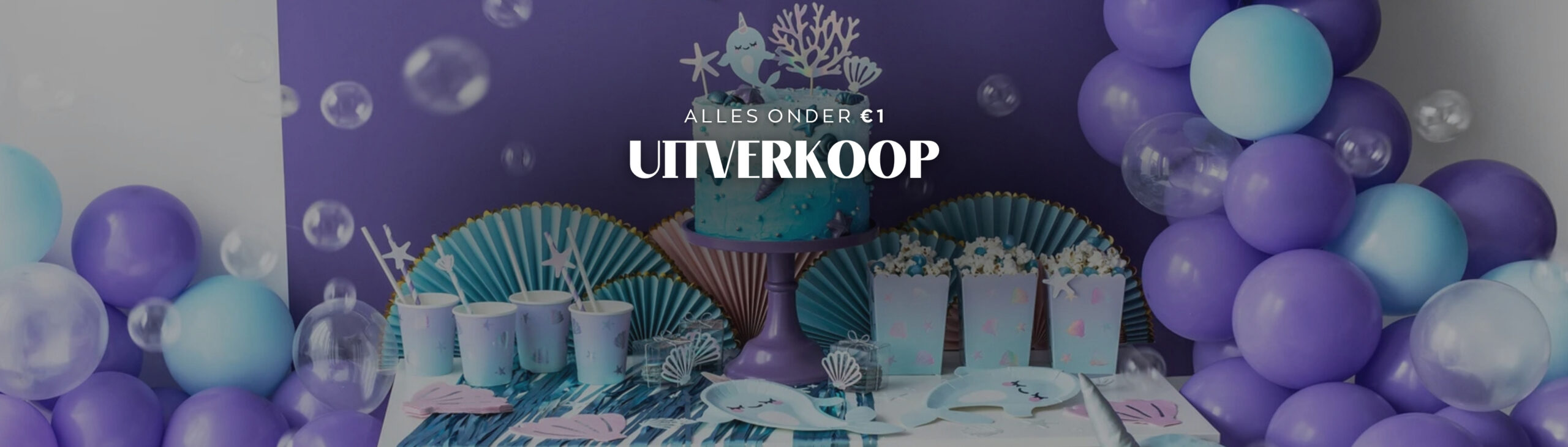 goedkope versiering verjaardag feestje banner