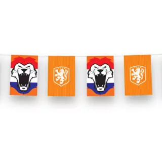 Vlaggenlijn Rechthoekig KNVB - 3 Meter