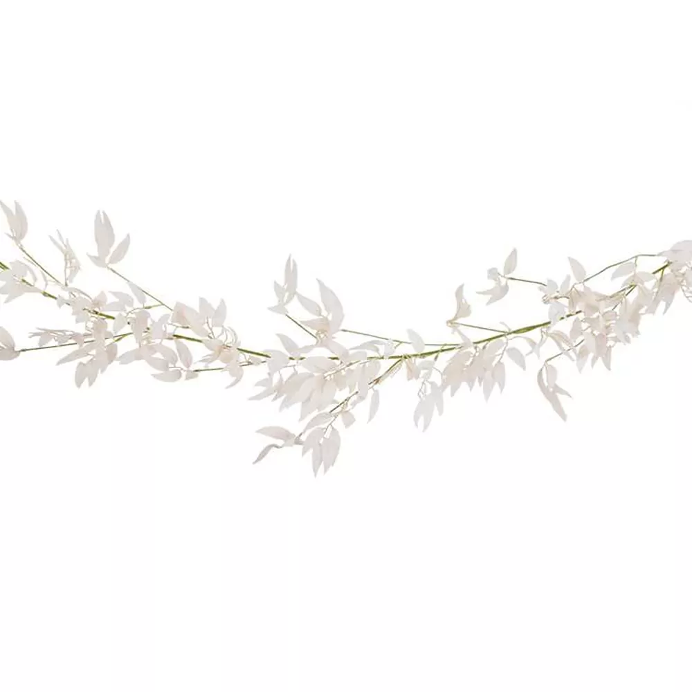 Slinger met kunst Roze Ruscus