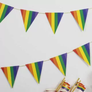 wimpelvlaggetjes met regenboogkleuren