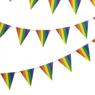 wimpelvlaggetjes met regenboogkleuren