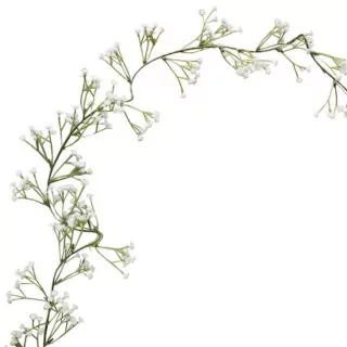 Streng met witte bloemetjes