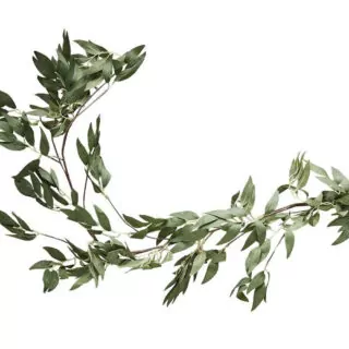 Groene streng met blaadjes