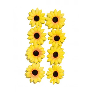 Gele zonnebloemen met een zwarte binnenkant