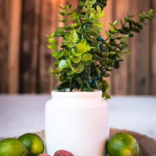 Wit vaasje met groene plantjes eirn staat op een juten onderzetten gevuld met limoenen