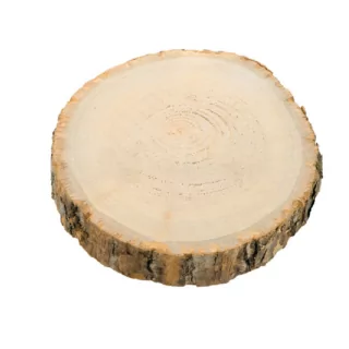 Houten boomstam