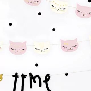 cats & kittens versiering kinderfeestje