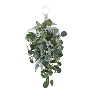 Eucalyptus hanger met witte besjes en takken