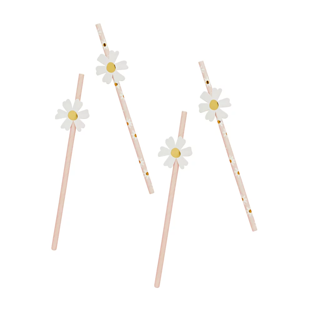 Roze rietjes met madeliefjes