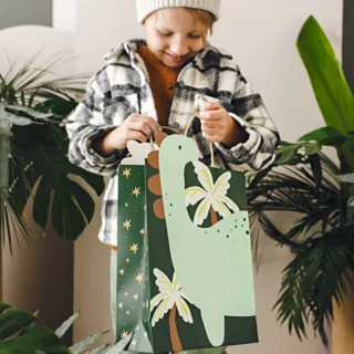 dino cadeautas