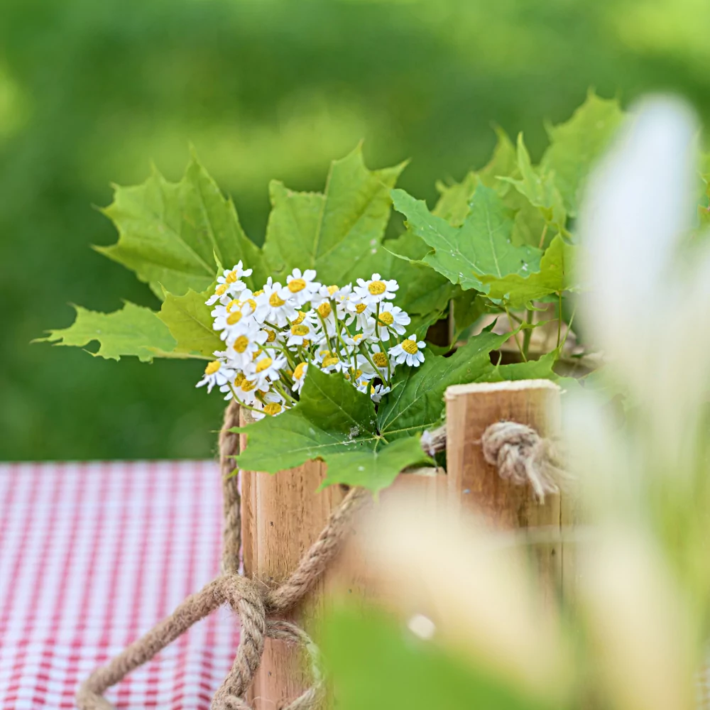 Gele en witte madeliefjes zitten in een houten bak gevuld met groene bladeren