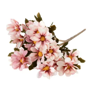 Roze bloesem