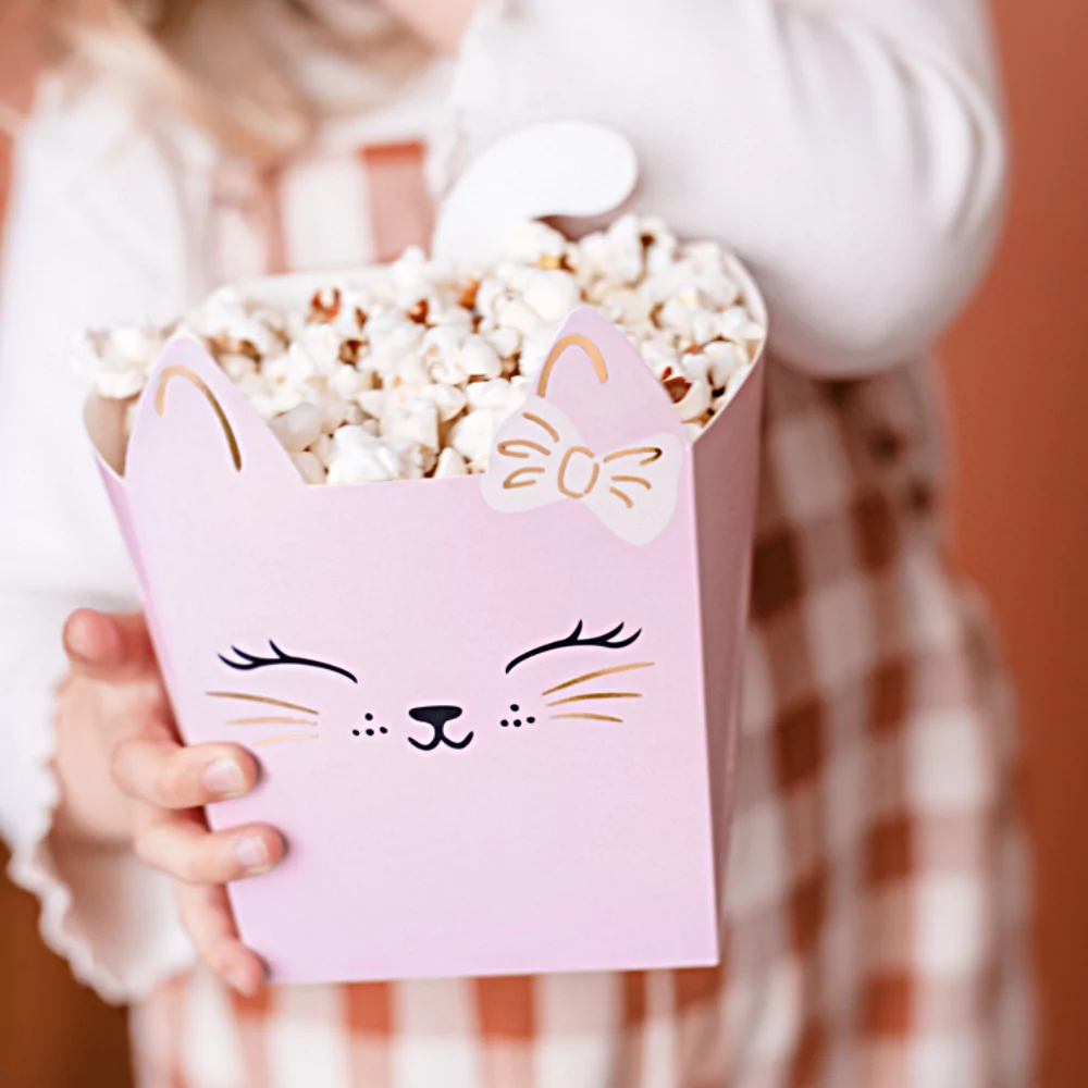 roze katten popcorn bakje