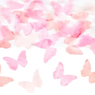 Alternative view of Gender Reveal - Roze Vlinders