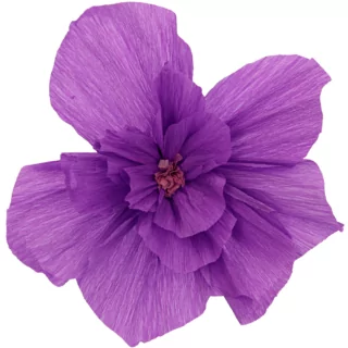 paarse bloem met een roze binnenkant van papier