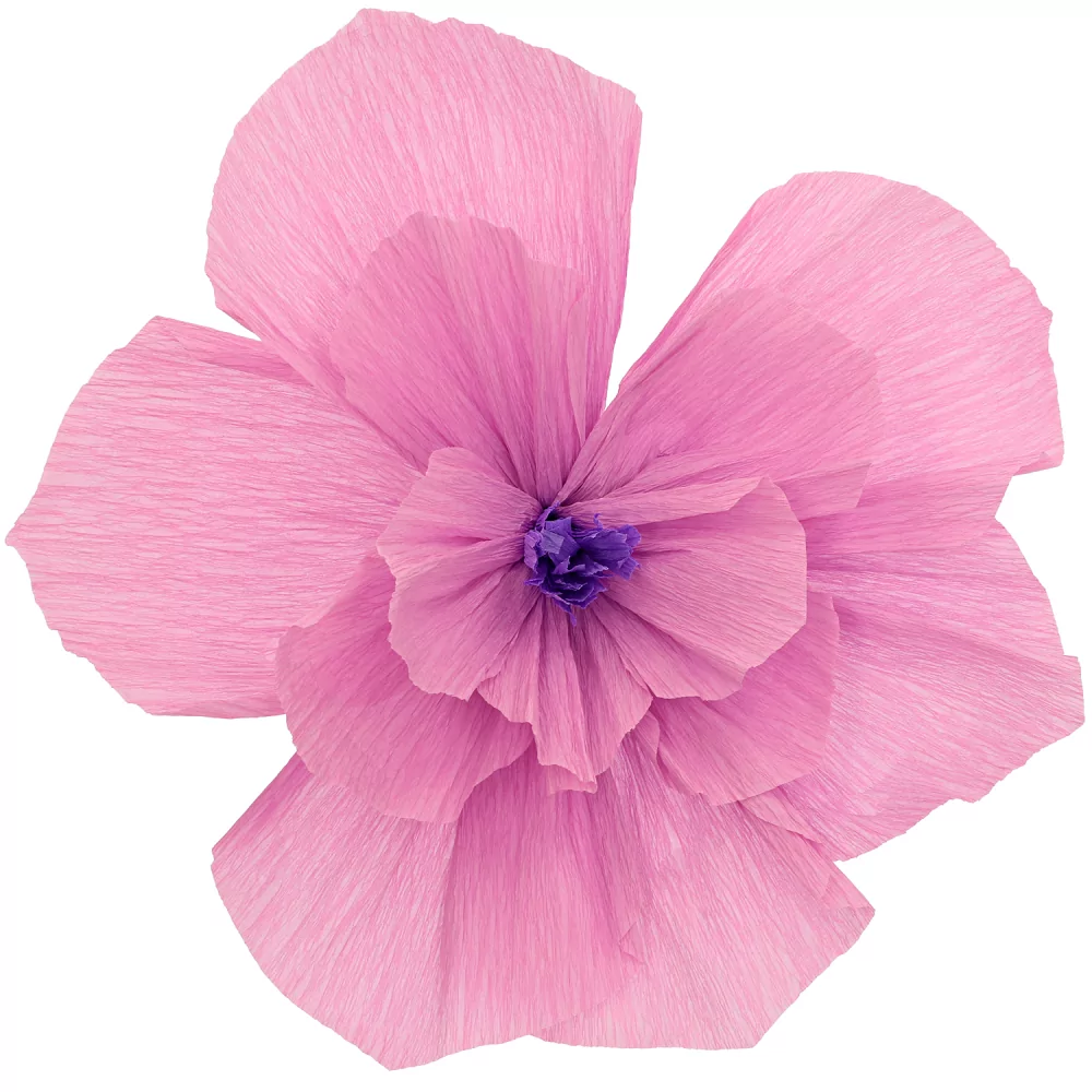 roze bloem met een paarse binnenkant