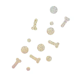 iridescent confetti vrijgezellenfeest