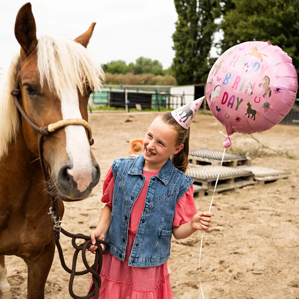folieballon paard